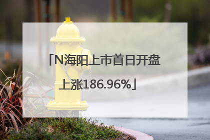 N海阳上市首日开盘上涨186.96%