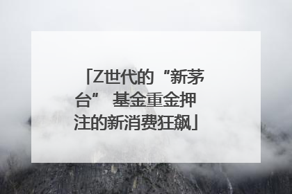 Z世代的“新茅台” 基金重金押注的新消费狂飙